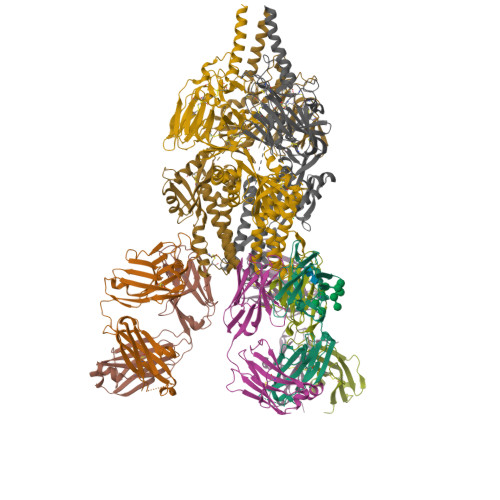 3D molecular structure of nirsevimab-alip (PDB entry 5UDC)