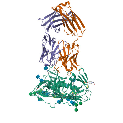 RCSB PDB - 5UEM: Crystal structure of 354NC37 Fab in complex with