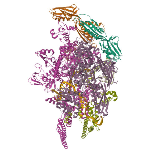 RCSB PDB - 5UH5: Crystal structure of Mycobacterium tuberculosis ...