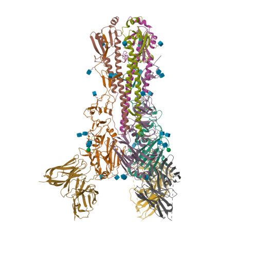 RCSB PDB - 5UK1: CryoEM structure of an influenza virus receptor ...