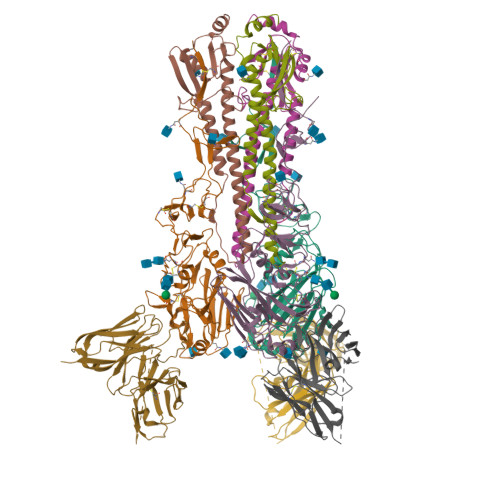 RCSB PDB - 5UK1: CryoEM structure of an influenza virus receptor ...