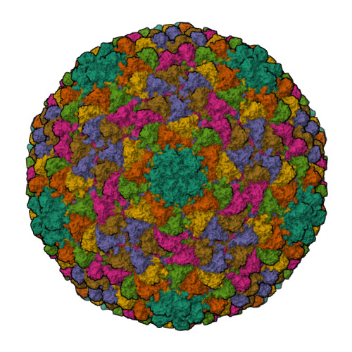 RCSB PDB - 5UU5: Bacteriophage P22 mature virion capsid protein