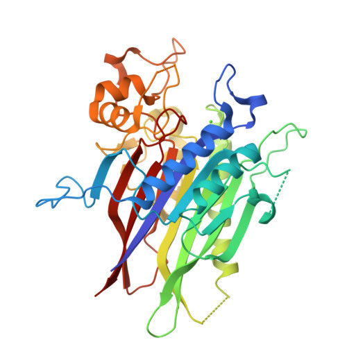 Sphingomyelin phosphodiesterase 3 structure