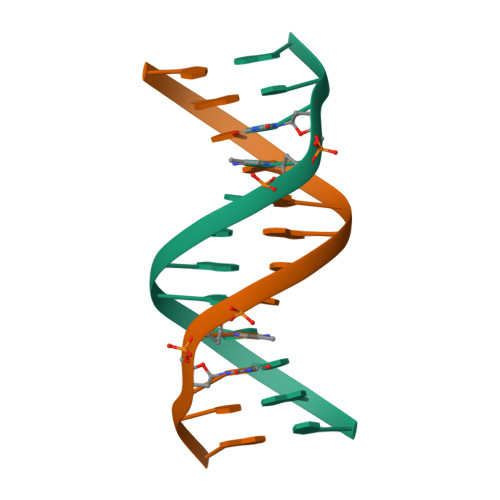 RCSB PDB - 5UZ3: Solution Structure of a DNA Dodecamer with 5 ...