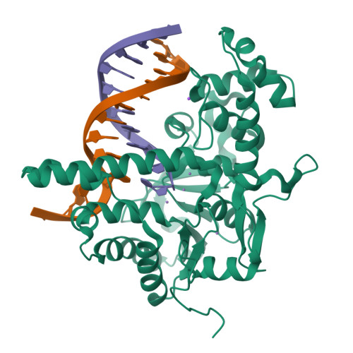 RCSB PDB 5V07 Crystal structure of human exonuclease 1 Exo1 (D173A