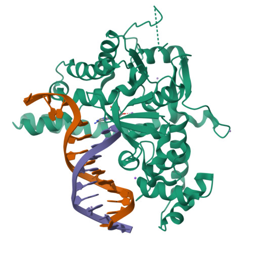 RCSB PDB - 5V0A: Crystal structure of human exonuclease 1 Exo1 (D225A ...