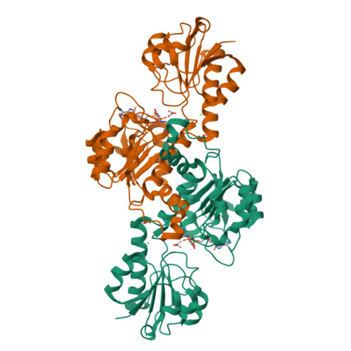 RCSB PDB - 5V7G: Crystal structure of NADPH-dependent glyoxylate ...