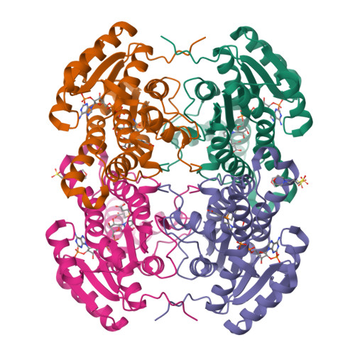 RCSB PDB - 5VA8: Crystal Structure of Short-chain dehydrogenase ...