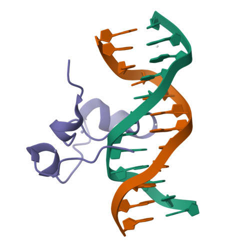 CXXC-type zinc finger protein 4 structure