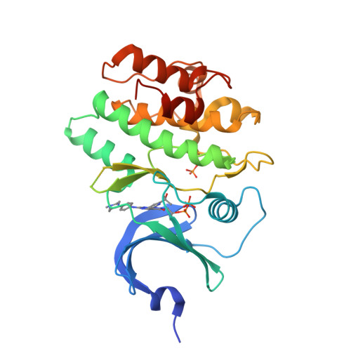 Wee1-like protein kinase 2 structure