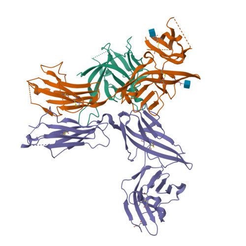 Distinction I〜Ⅳ、Structures RCSB PDB - 5VI4: IL-33/ST2/IL-1RAcP ternary complex structure