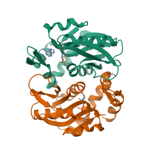 RCSB PDB - 5VJN: Crystal Structure of Adenine