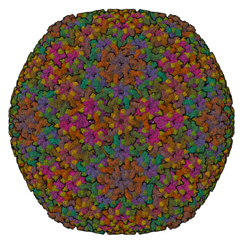 A Unique Role of the Human Cytomegalovirus Small Capsid Protein in