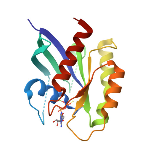 RCSB PDB - 5VQ6: Crystal structure of human WT-KRAS in complex with GTP ...