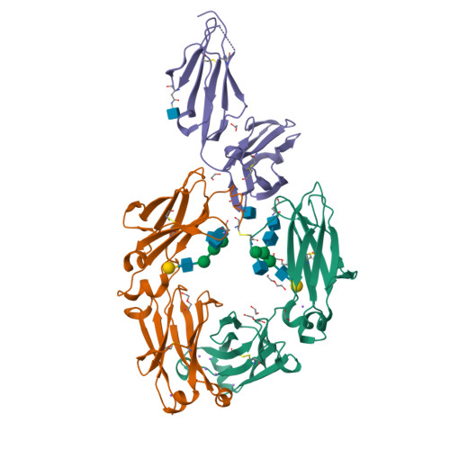 Rcsb Pdb 5vu0 Crystal Structure Of The Complex Between Afucosylated