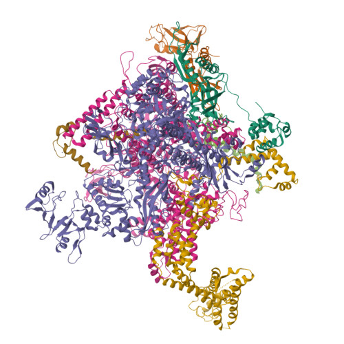 RCSB PDB - 5W1S: X-ray crystal structure of Escherichia coli RNA ...
