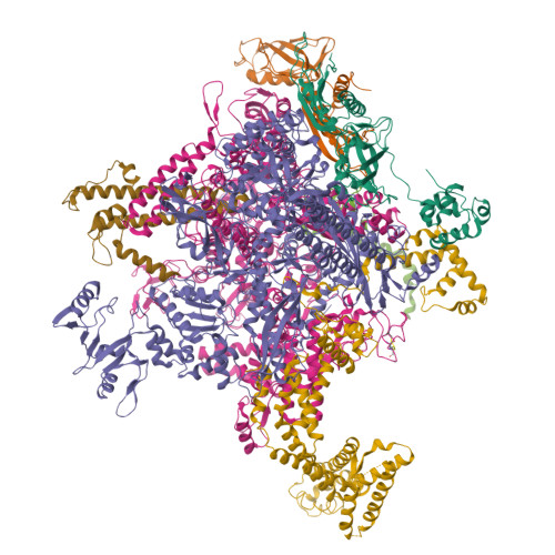 RCSB PDB - 5W1T: X-ray crystal structure of Escherichia coli RNA ...