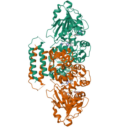 RCSB PDB - 5W7R: Crystal structure of OxaC in complex with SAH and oxaline