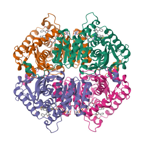 Rcsb Pdb 5w8l Crystal Structure Of Lactate Dehydrogenase A In Complex With Inhibitor Compound 59 And Nadh