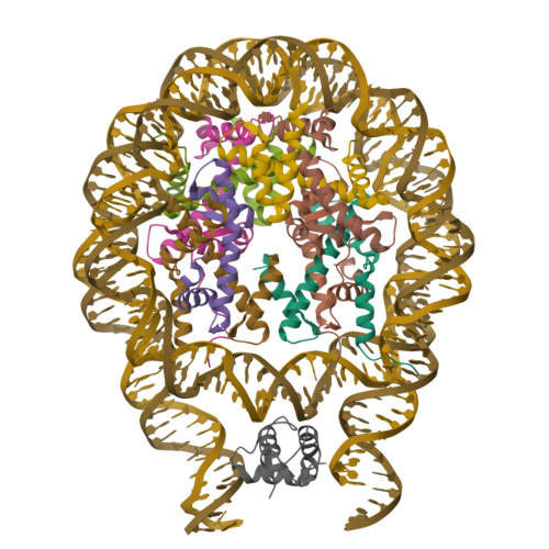 RCSB PDB - 5WCU: Crystal structure of 167 bp nucleosome bound to the ...