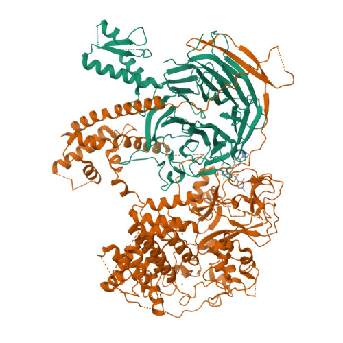 RCSB PDB - 5WF7: Chaetomium thermophilum Polycomb Repressive Complex 2 ...
