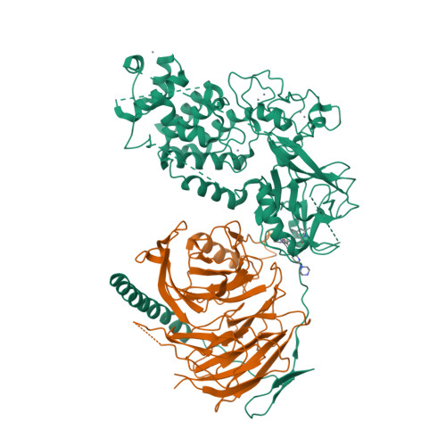 RCSB PDB - 5WG6: Human Polycomb Repressive Complex 2 in complex with ...