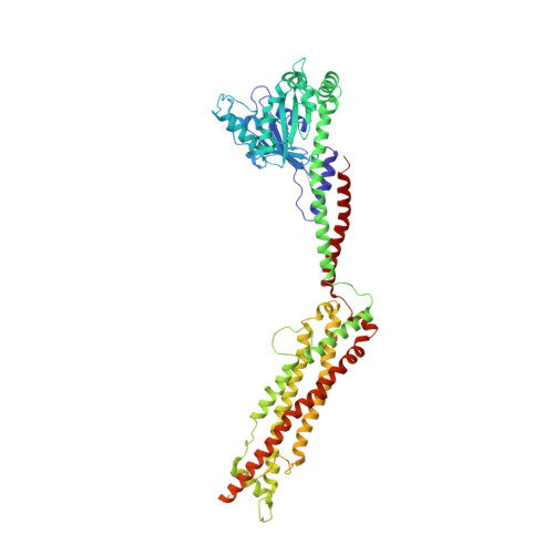 RCSB PDB - 5WP9: Structural Basis of Mitochondrial Receptor Binding and ...