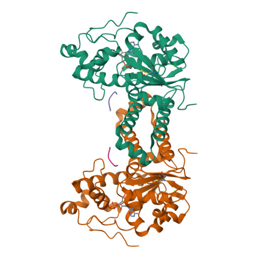 PDB 5WRJ