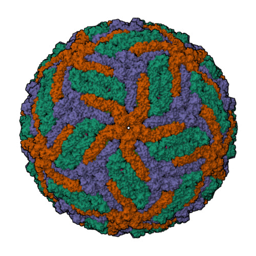 RCSB PDB - 5WSN: Structure Of Japanese Encephalitis Virus