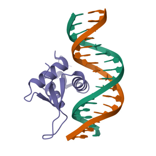 Aぇ!group DNA IG1_02_Fig06