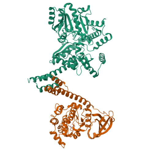 R ページ トリックスター / Ninja ZX-25R(21-22)政府認証フルエキゾースト