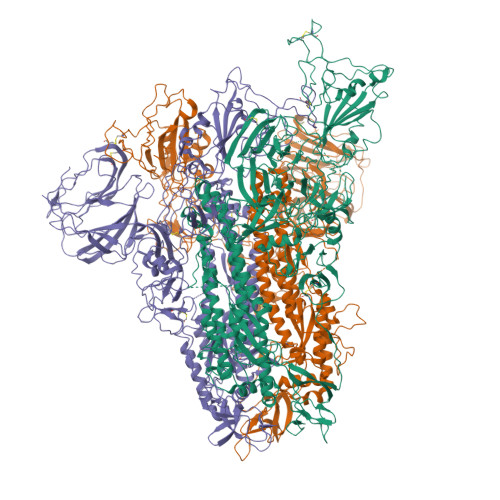 RCSB PDB - 5X5B: Prefusion structure of SARS-CoV spike glycoprotein ...