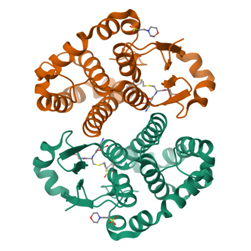 RCSB PDB - 5X79: Human GST Pi conjugated with novel inhibitor, GS-ESF