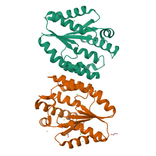 RCSB PDB - 5X7J: Crystal structure of thymidylate kinase from thermus ...