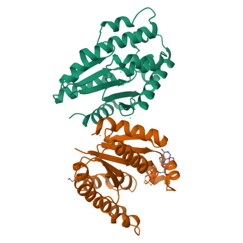 RCSB PDB - 5X8A: Crystal structure of ATP bound thymidylate kinase from ...
