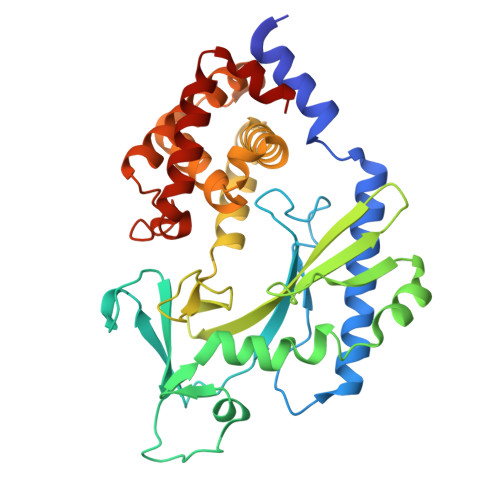 RCSB PDB - 5X9B: Crystal structure of the cytosolic domain of human MiD51