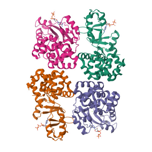 RCSB PDB - 5X9G: Crystal structure of the cytosolic domain of the Mg2 ...