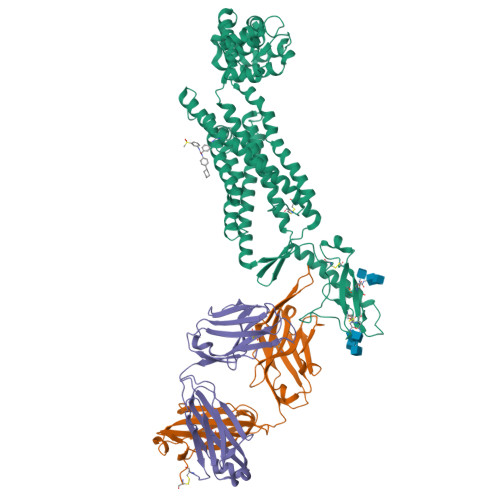 Rcsb Pdb Xez Structure Of The Full Length Glucagon Class B G