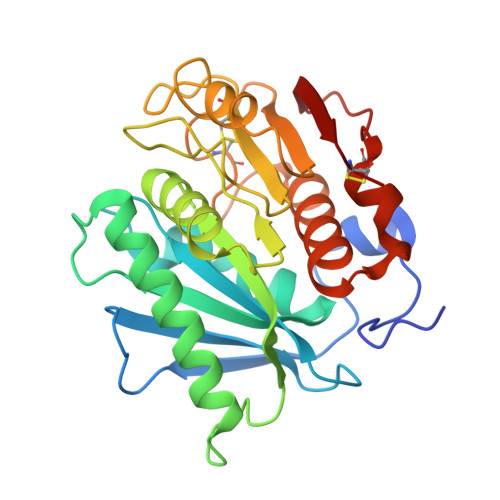 RCSB PDB - 5XG0: Crystal structure of a novel PET hydrolase