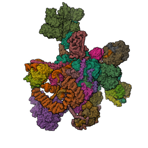 PDB 5XJC