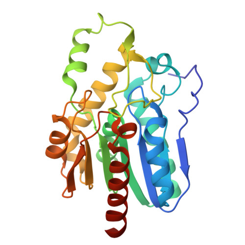 RCSB PDB - 5XKS: Crystal structure of monoacylglycerol lipase from ...