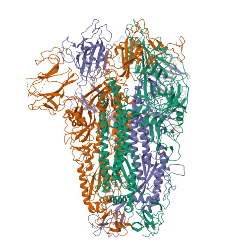 RCSB PDB - 5XLR: Structure of SARS-CoV spike glycoprotein