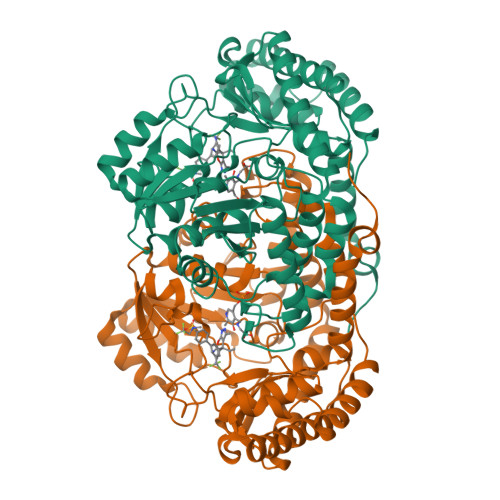 RCSB PDB - 5XMP: Plasmodium vivax SHMT(C346A) bound with PLP