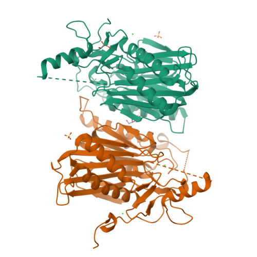 RCSB PDB - 5XYG: Structure of 6-aminohexanoate-oligomer hydrolase