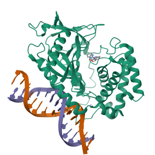 Rcsb Pdb 5xzb Mouse Cgas Bound To The Inhibitor Ru365