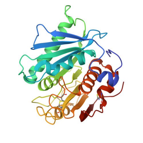 Petase Structure RCSB PDB - 5YNS: Crystal structure of PETase R280A mutant from ...