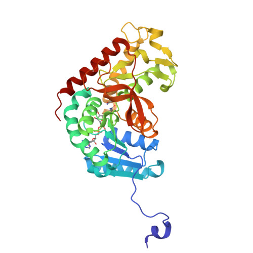 RCSB PDB 5YTA Pig Heart Lactate Dehydrogenase in complex with NADH