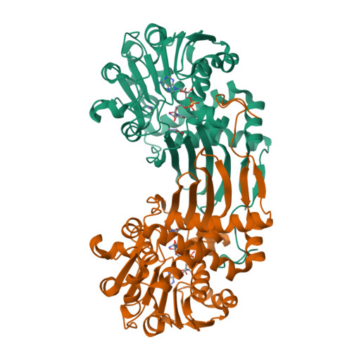 Rcsb Pdb Yu Structural Basis For Recognition Of L Lysine L Ornithine And L Diamino