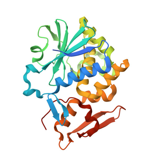 RCSB PDB - 5Z3I: Crystal Structure of Abrin A chain (Recombinant) in ...