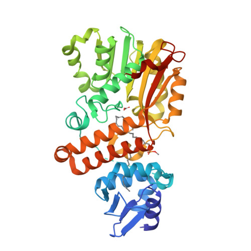 lactobacillus acidophilus structure